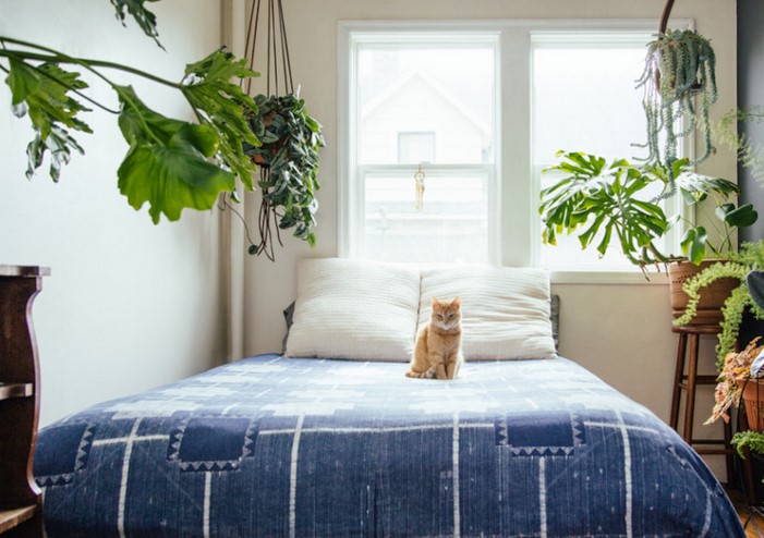 Is it good to put plants in your bedroom?